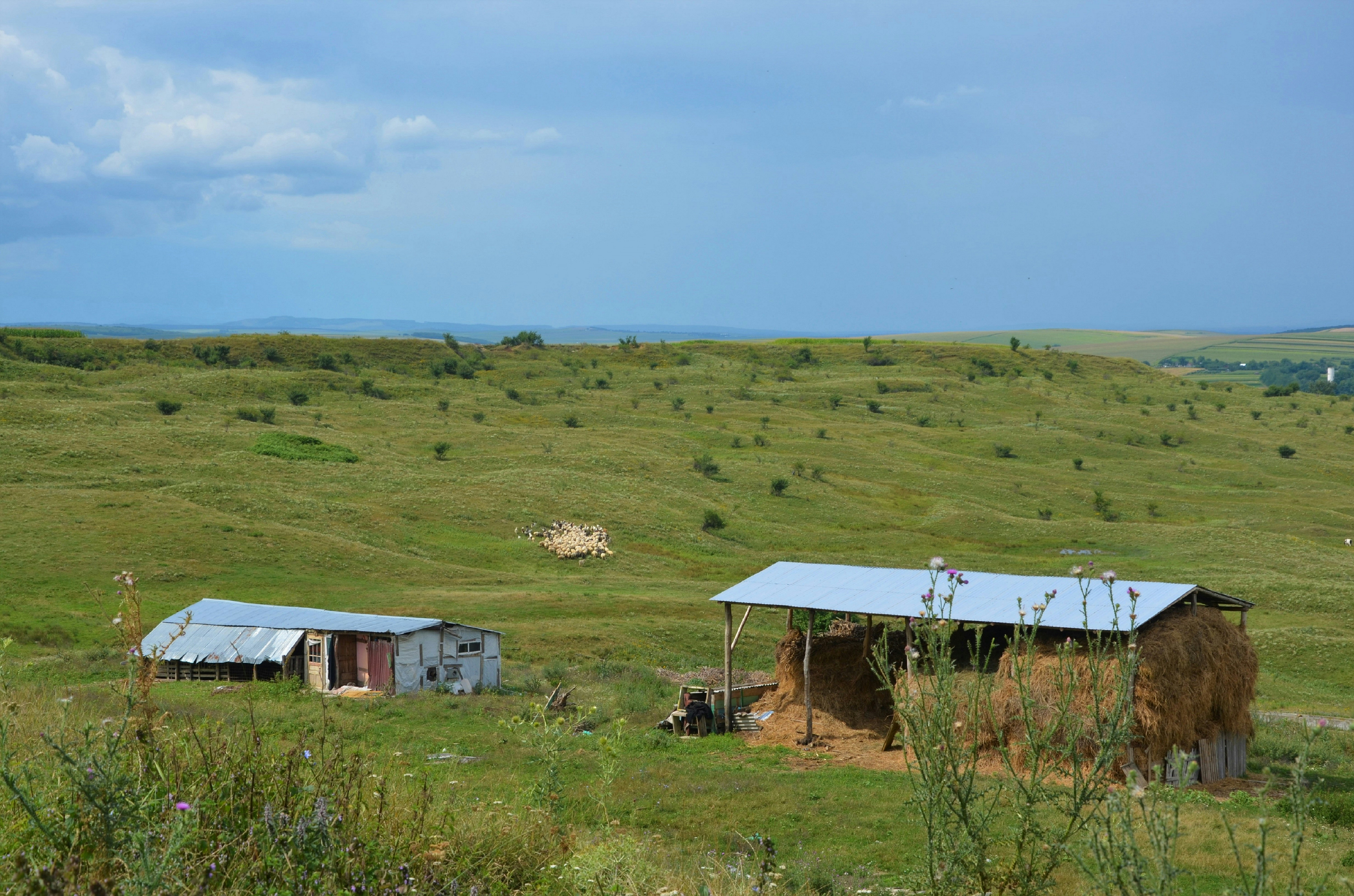 Rural community representing our connection to the people we serve